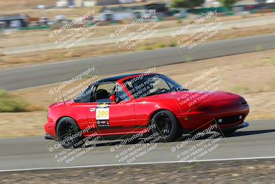 media/Oct-01-2022-Team Topak Racing (Sat) [[f860fb51be]]/2-Inter Low 2/session 1 turn 3/